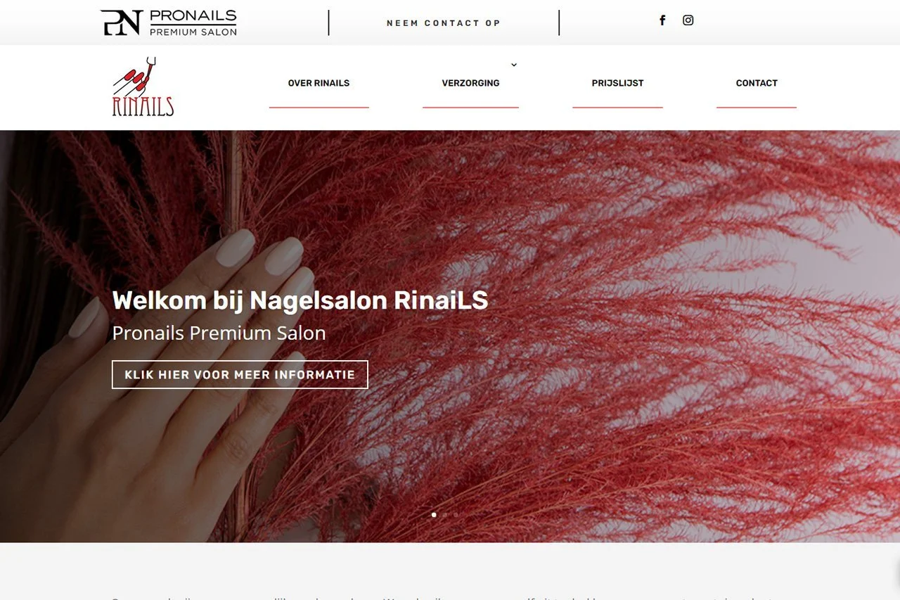 Website RinaiLS